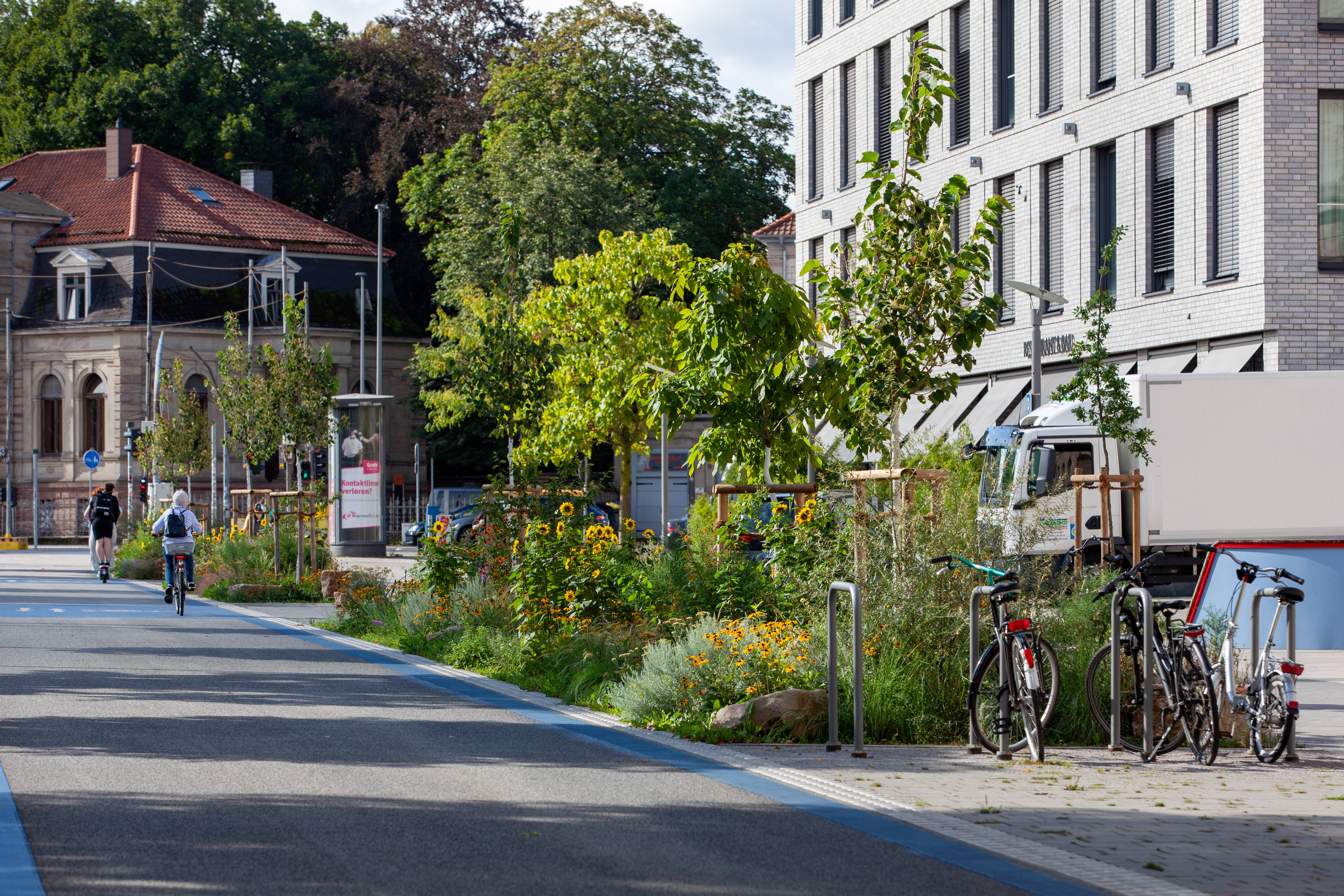 Blue-green infrastructure in the urban area of G&ouml;ttingen. &copy; City of G&ouml;ttingen
